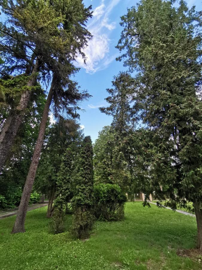 Hotel Karklu Muiza イェルガヴァ エクステリア 写真